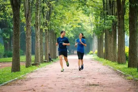 Prestige Pine Forest Jogging Track