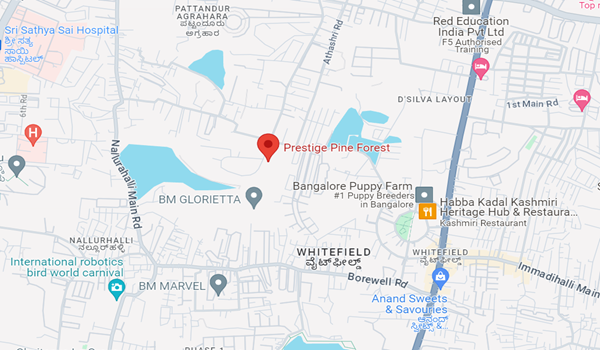 Prestige Pine Forest Location Map